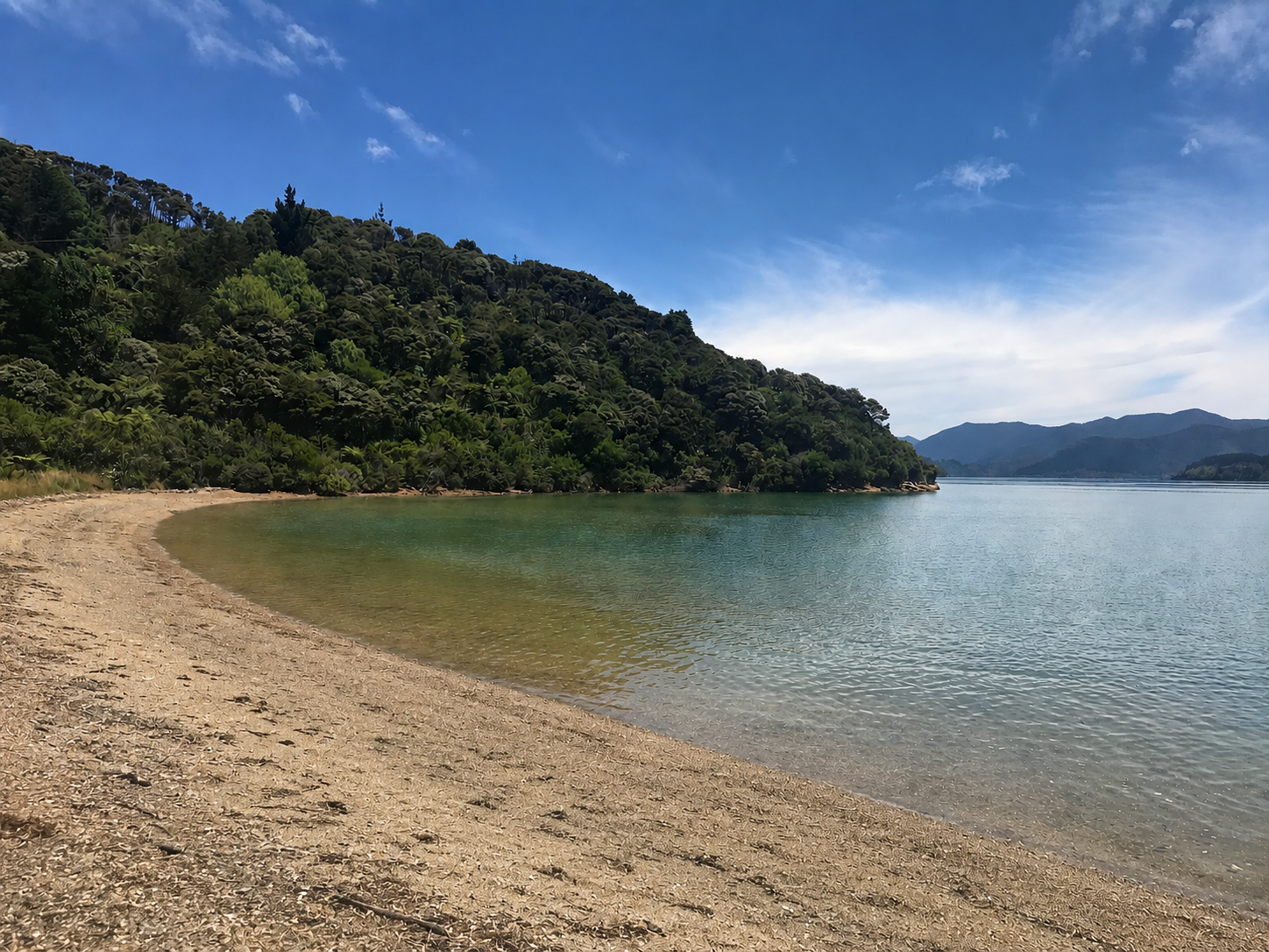 Sunny day at the beach with clear water